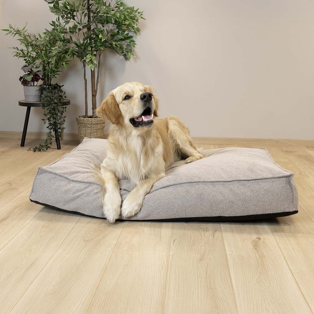 Hundematratze Eden Taupe